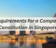 Requirements for a Company Constitution in Singapore Featured Image
